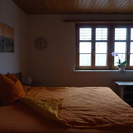 Bnb Goldberg Bed and Breakfast Schmerikon Buitenkant foto